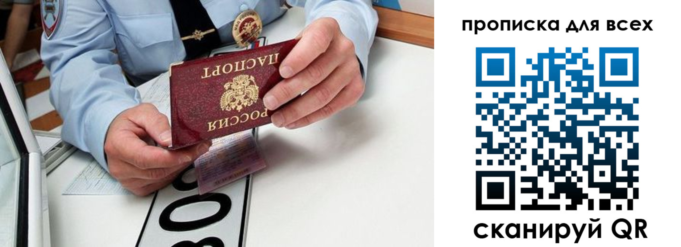 прописка для школы в Светлом